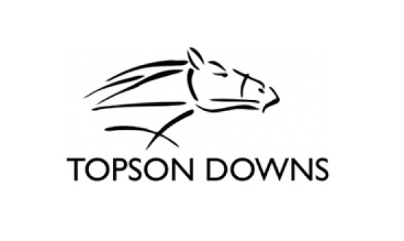 Topson Downs